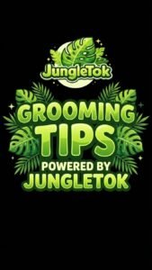 Grooming_tips_powered_202601151841-1.jpeg